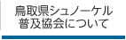 鳥取県シュノーケル普及協会について