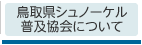鳥取県シュノーケル普及協会について