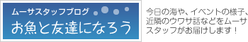 スタッフブログ お魚と友達になろう