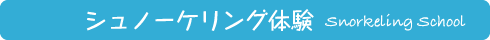 シュノーケリング体験